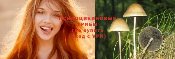 амф Бугульма